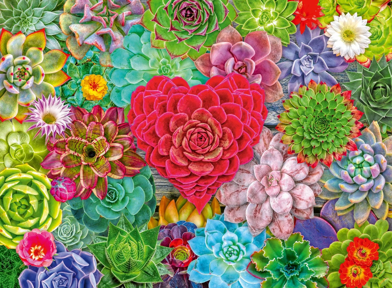 Пъзел Ravensburger 500 ел. - Сукуленти