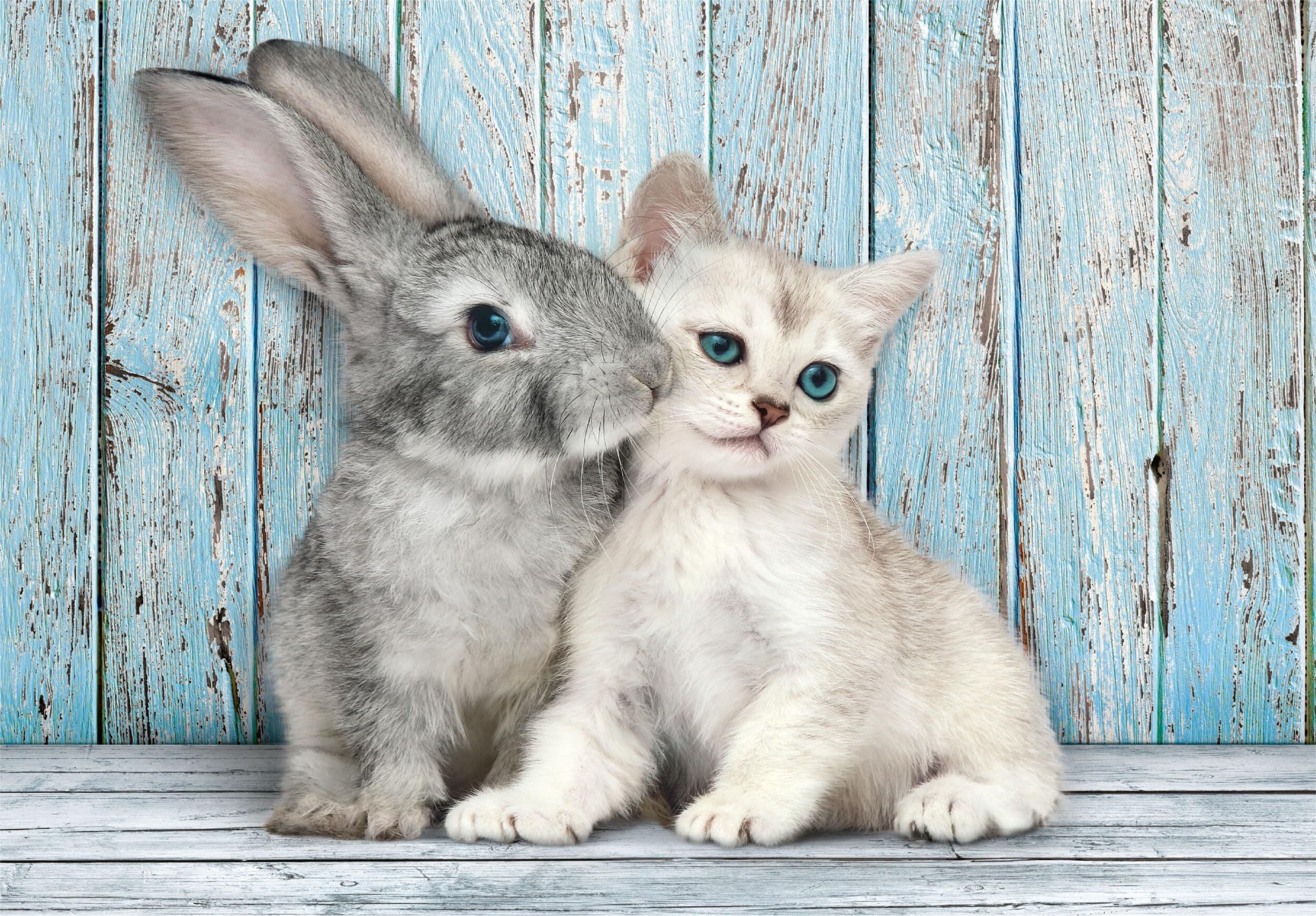 CLEMENTONI 500ч. Пъзел Cat and Bunny