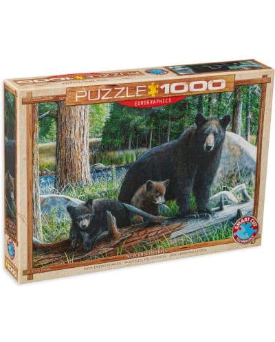 Пъзел Eurographics от 1000 части - Нови открития, Кевин Даниел