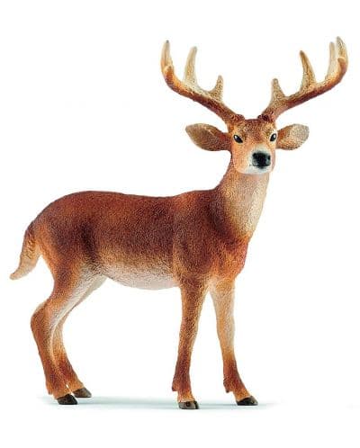 Фигурка Schleich Wild Life America - Белоопашат елен
