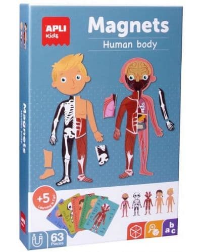 Детска магнитна игра Apli - Човешкото тяло